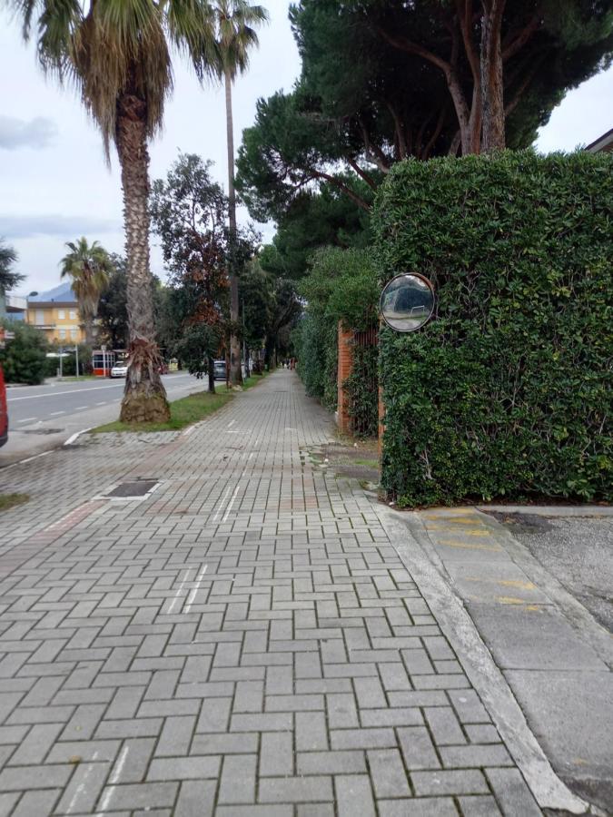 Bilocale Climatizzato A 850M Dalla Spiaggia Casa Katia Marina di Massa Esterno foto