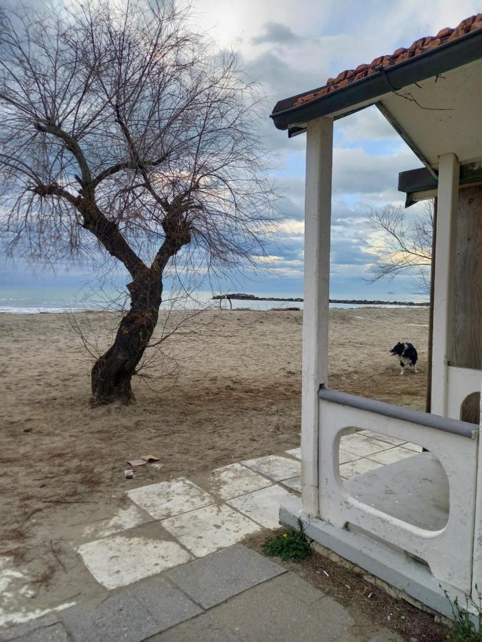 Bilocale Climatizzato A 850M Dalla Spiaggia Casa Katia Marina di Massa Esterno foto